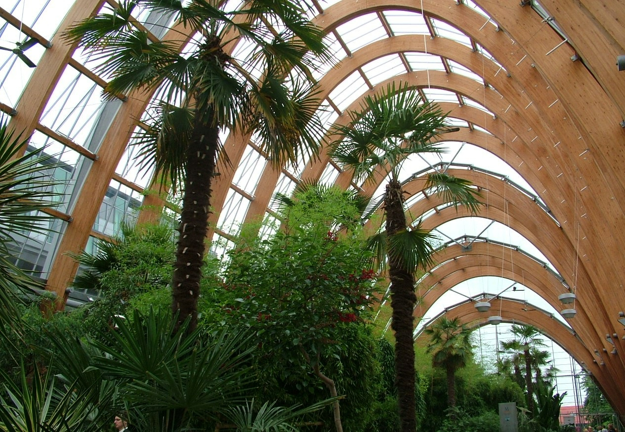 wintergardens- resized.jpg