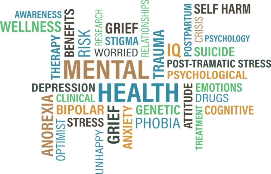 mental-1831391_1280 (1).png